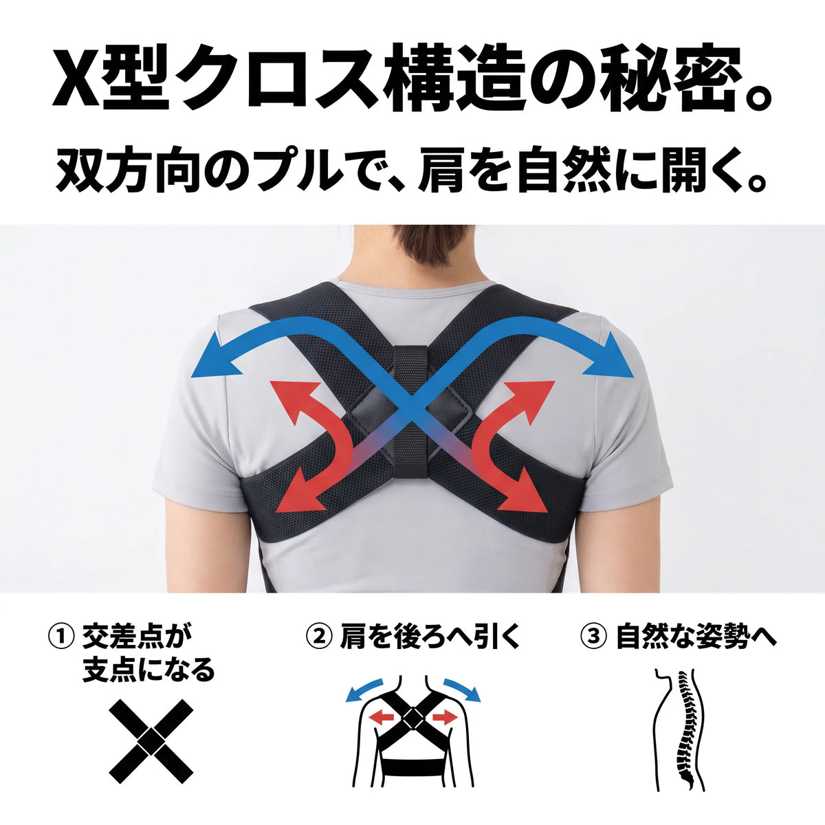 【トレーナー推奨】X型クロス 姿勢サポーター｜猫背ケア・薄型・通気メッシュ